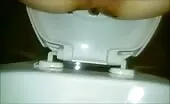 Toilet shitting
